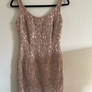 Carmen Marc Valvo Pink Lace Dress